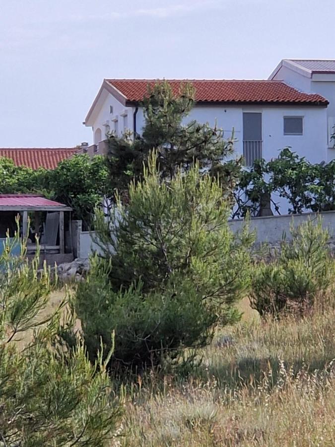 Apartments Ema Vir Dış mekan fotoğraf