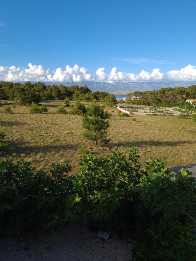 Apartments Ema Vir Dış mekan fotoğraf